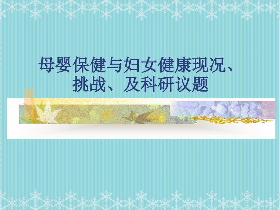 医学185妇产科护理课件母婴保健与妇女健康现况、挑战、及科研议题_第1页