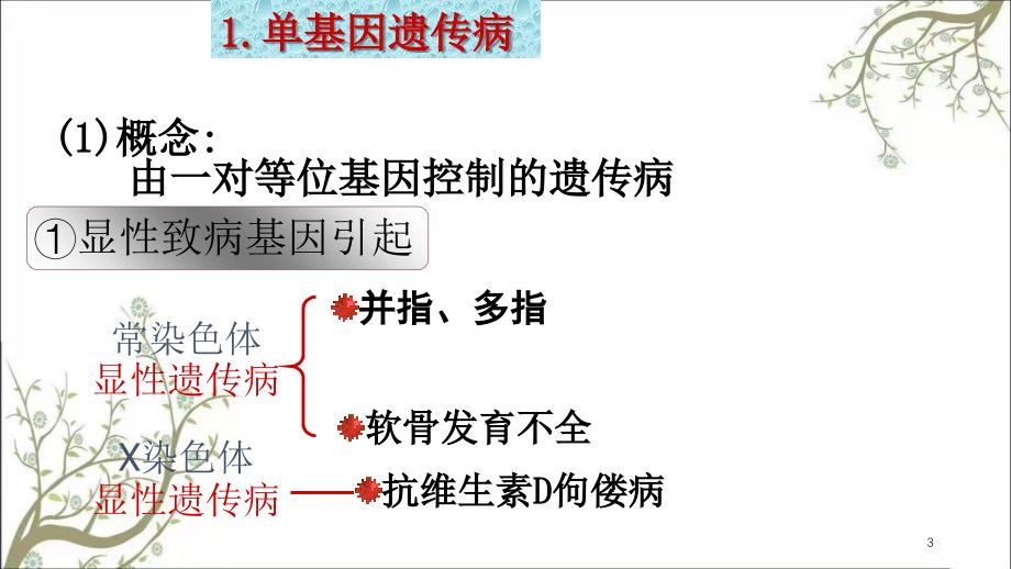 人类遗传病使用课件_第3页