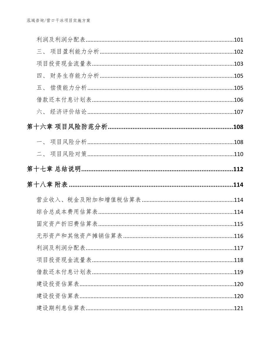 营口干冰项目实施方案【模板】_第5页