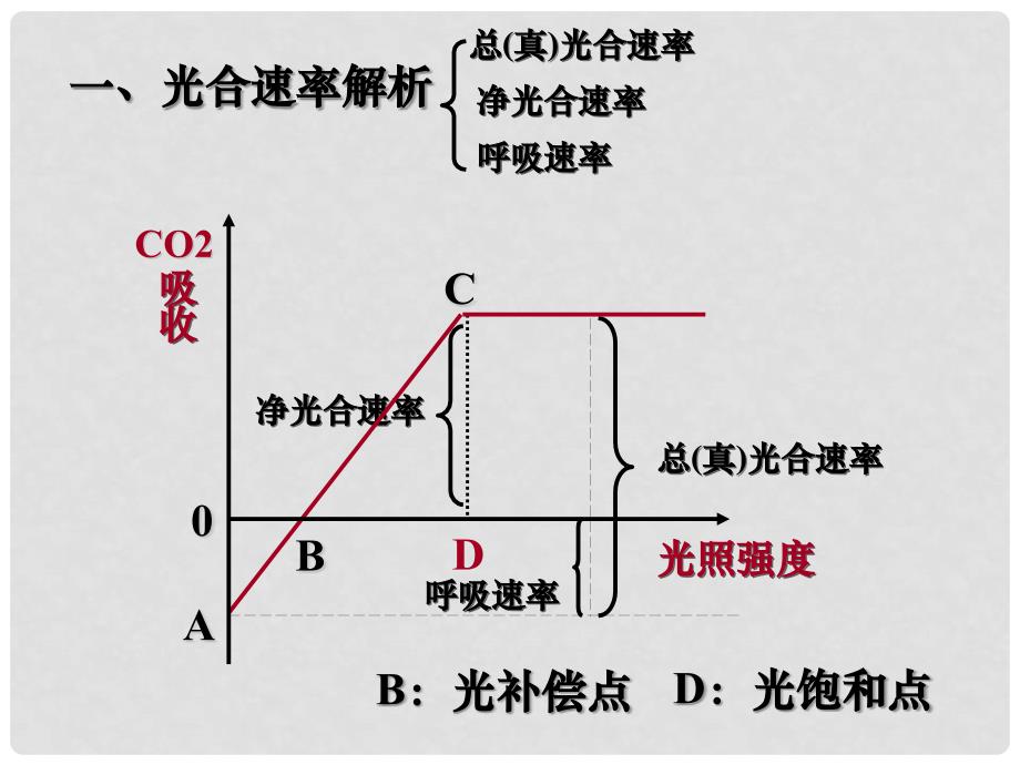 高三生物第一轮复习课件光合作用题型回顾精讲版1_第2页