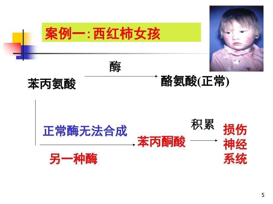 人类遗传病教学课件_第5页