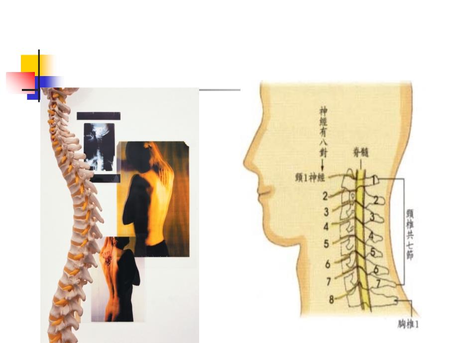 颈椎病-健康知识讲座_第3页