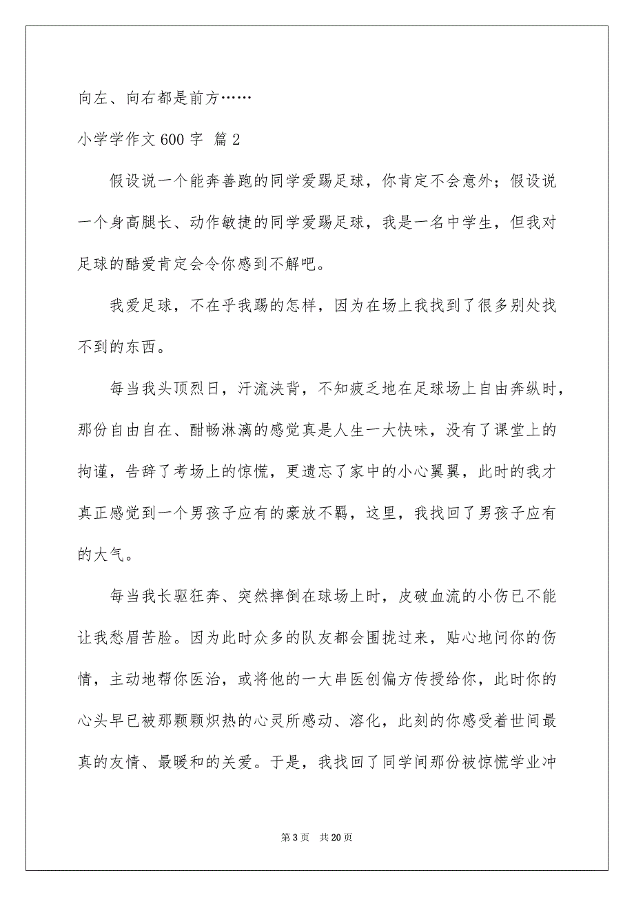 2023年小学学作文600字18范文.docx_第3页