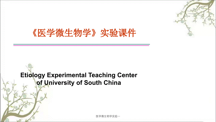 医学微生物学实验一_第1页