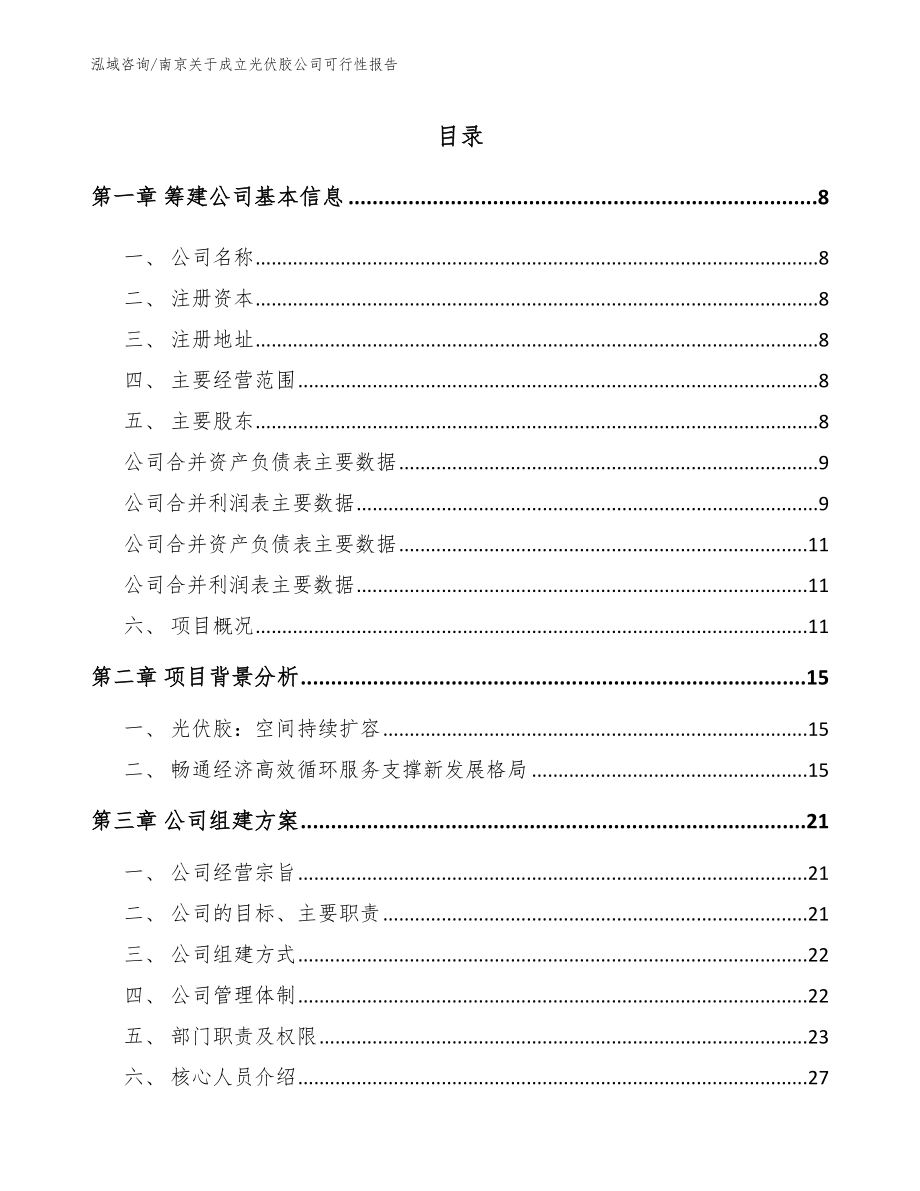 南京关于成立光伏胶公司可行性报告_第2页