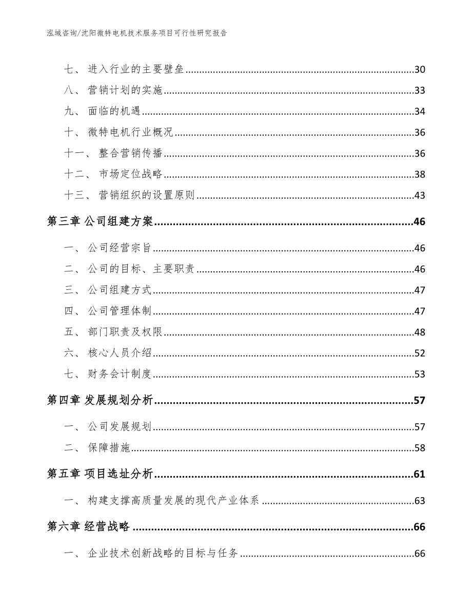 沈阳微特电机技术服务项目可行性研究报告（范文参考）_第3页