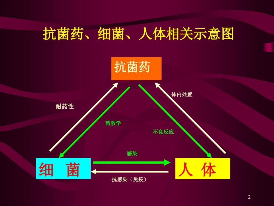 中山大学赵香兰：抗菌药PKPD研究与临床合理用药_第2页