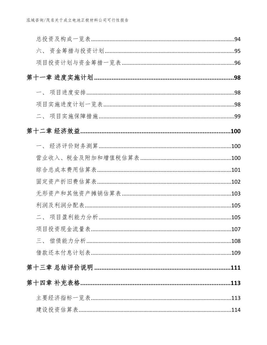 茂名关于成立电池正极材料公司可行性报告_模板_第5页