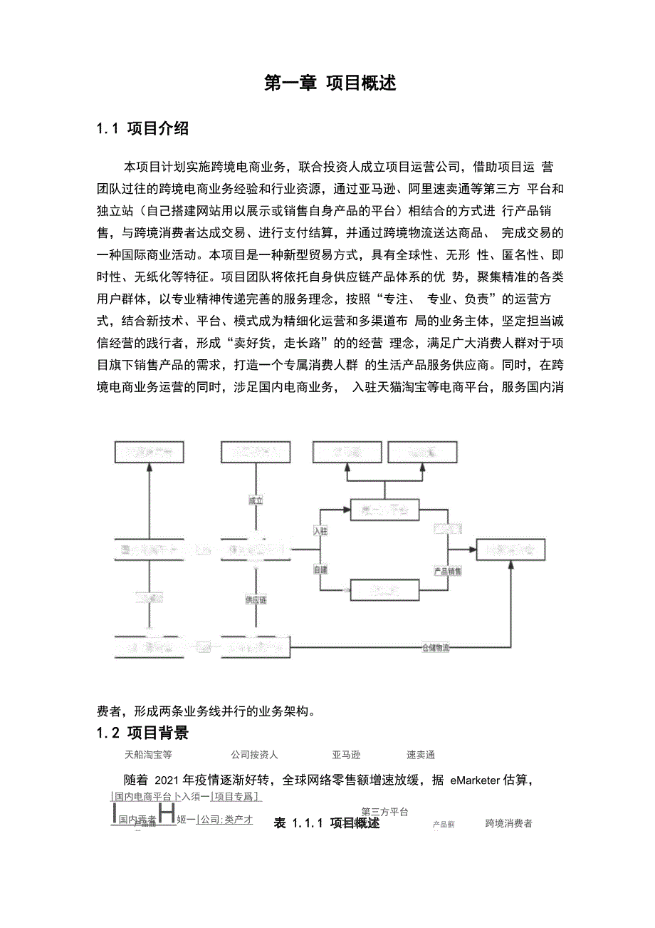 跨境电商项目计划书_第3页