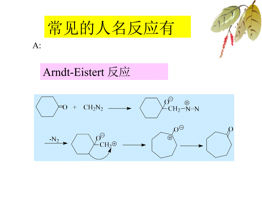 《常见的人名反应》PPT课件.ppt_第1页