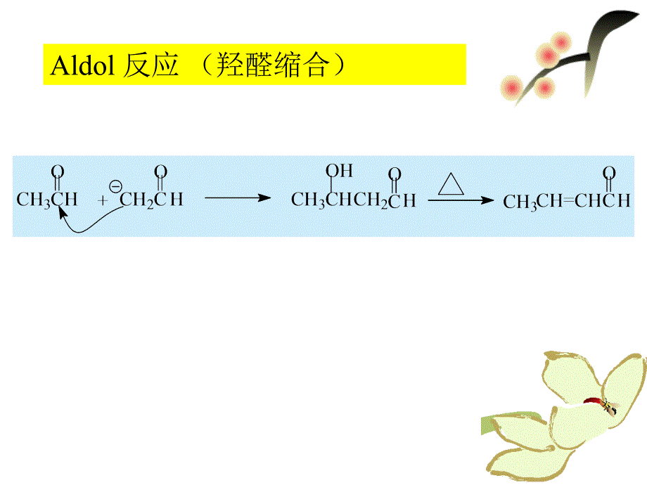 《常见的人名反应》PPT课件.ppt_第2页