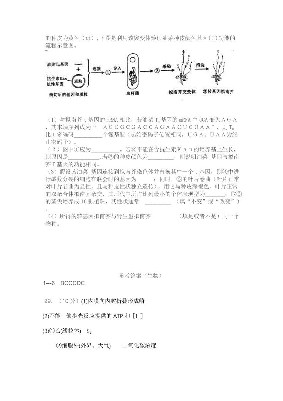 理综生物试题.doc_第5页