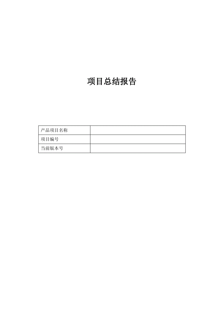 项目总结报告文档模板_第1页