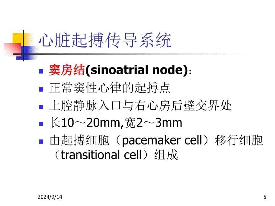 心律失常-1-精选文档课件_第5页