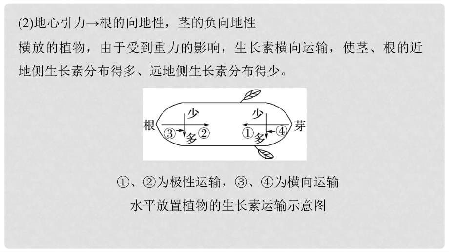 高中生物 第一单元 生物个体的稳态与调节 第一章 植物生命活动的调节章末整合课件 中图版必修3_第5页