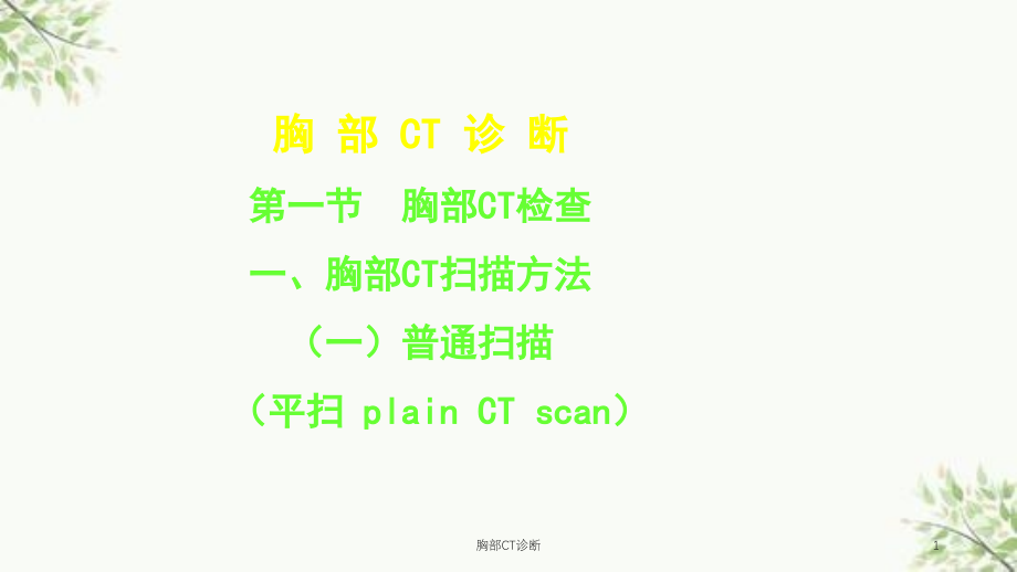 胸部CT诊断课件_第1页