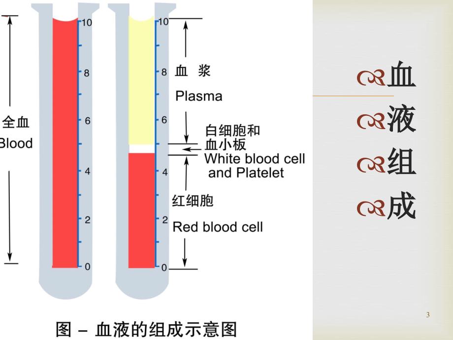 优质课件妊娠合并贫血诊断与治疗_第3页