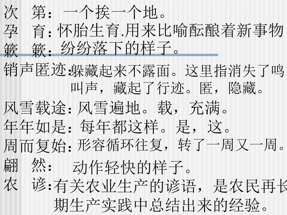 《大自然的语言》课件1_第5页