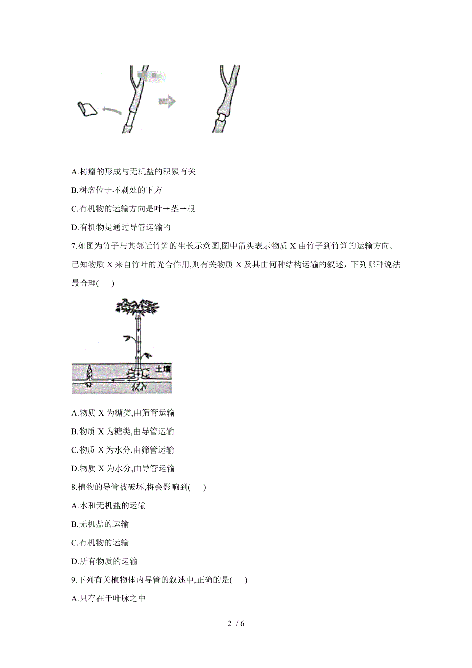 七年级生物上册北师大版同步课时作业3.5.5运输作用_第2页