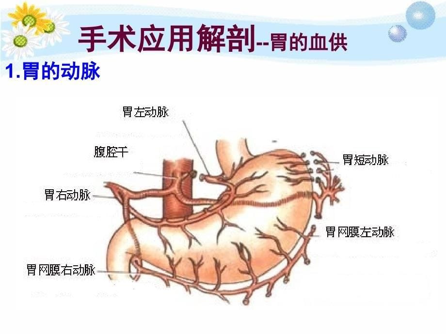 胃癌根治术手术配合ppt课件_第5页