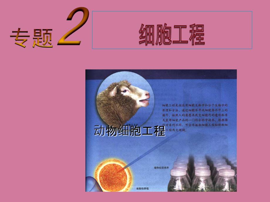 高二生物选修3221动物细胞培养和核移植技术ppt课件_第1页