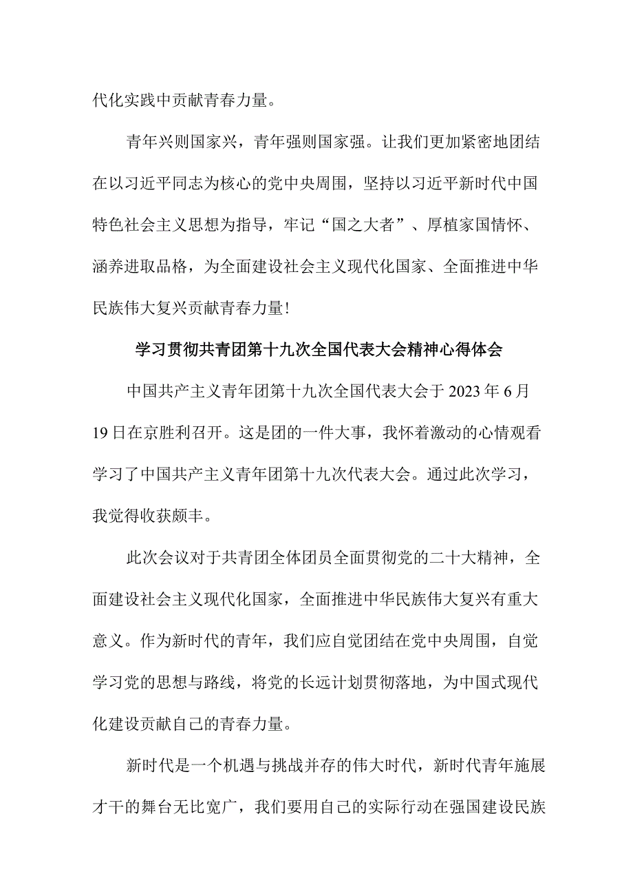 博士生学习贯彻共青团第十九次全国代表大会精神个人心得体会六篇 (范文)_第3页