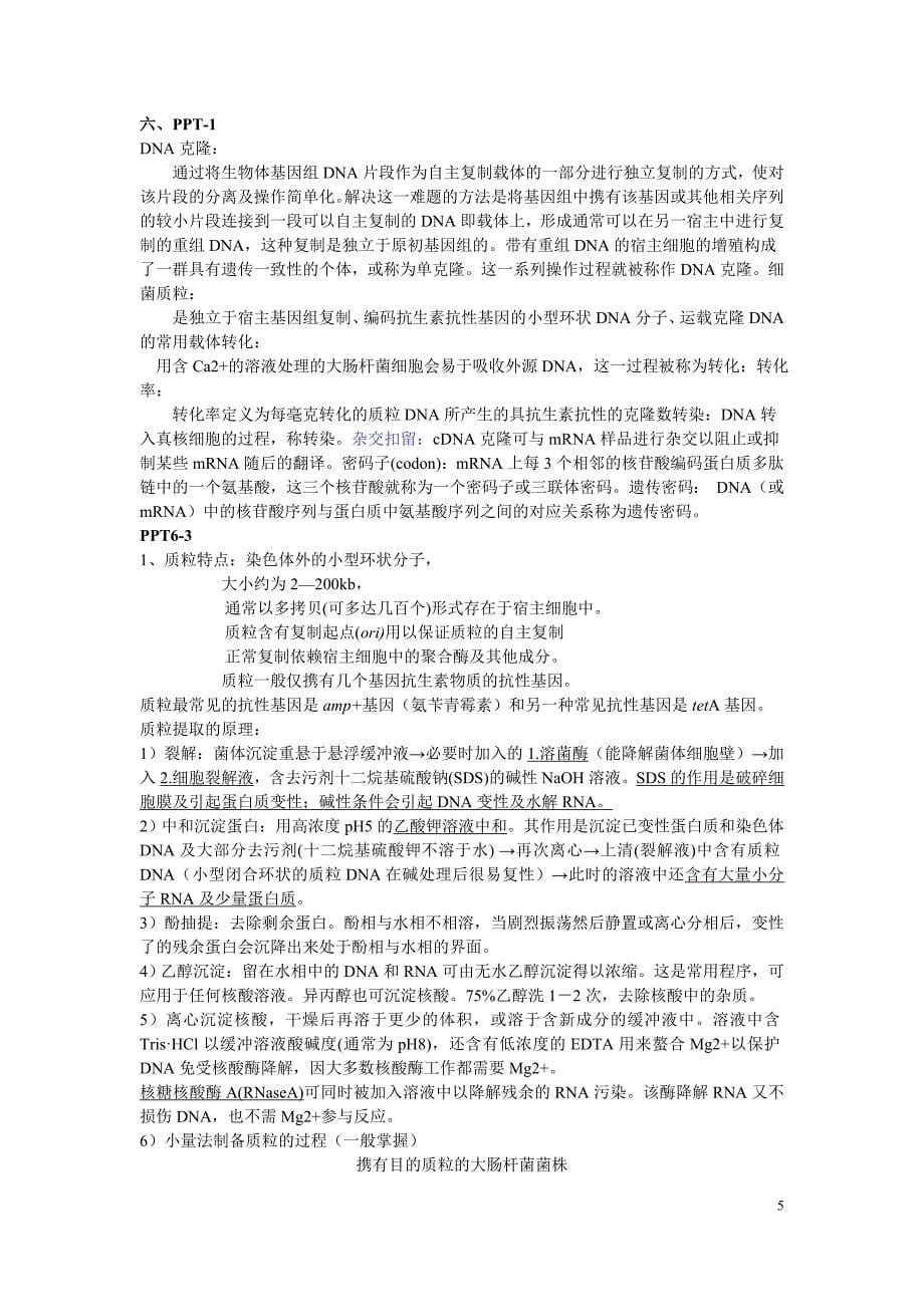 2011分子生物学总复习.doc_第5页