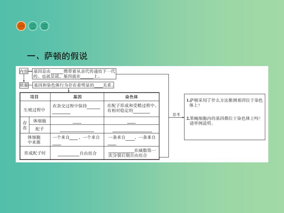 高中生物第2章基因和染色体的关系第2节基因在染色体上课件新人教版.ppt_第3页