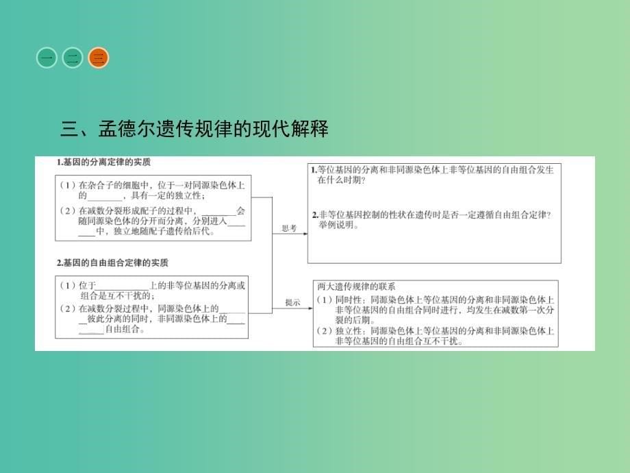 高中生物第2章基因和染色体的关系第2节基因在染色体上课件新人教版.ppt_第5页