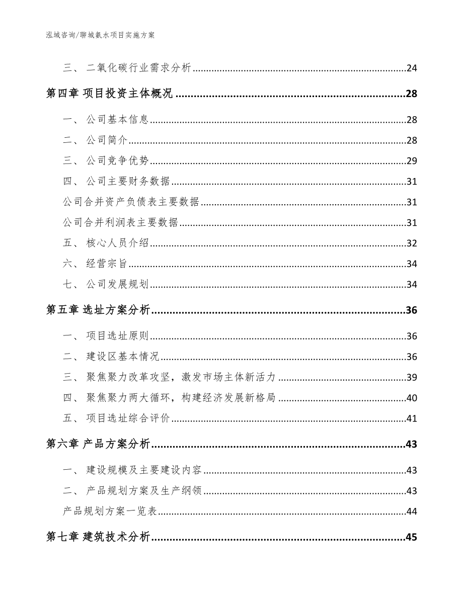 聊城氨水项目实施方案模板参考_第2页