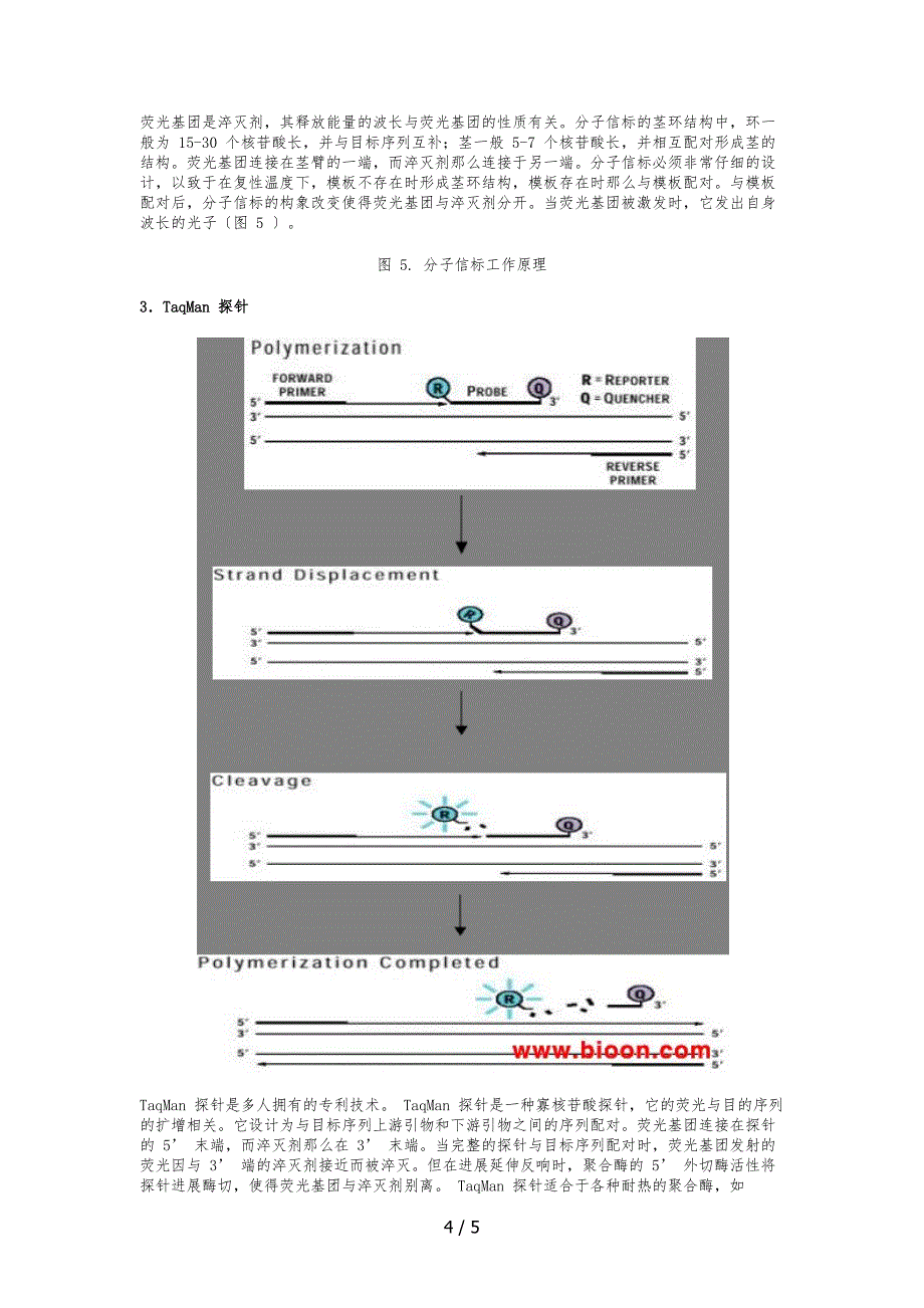 荧光定量原理_第4页