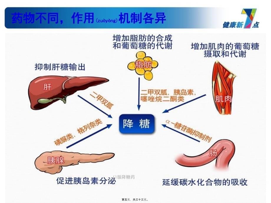 口服降糖药课件_第5页