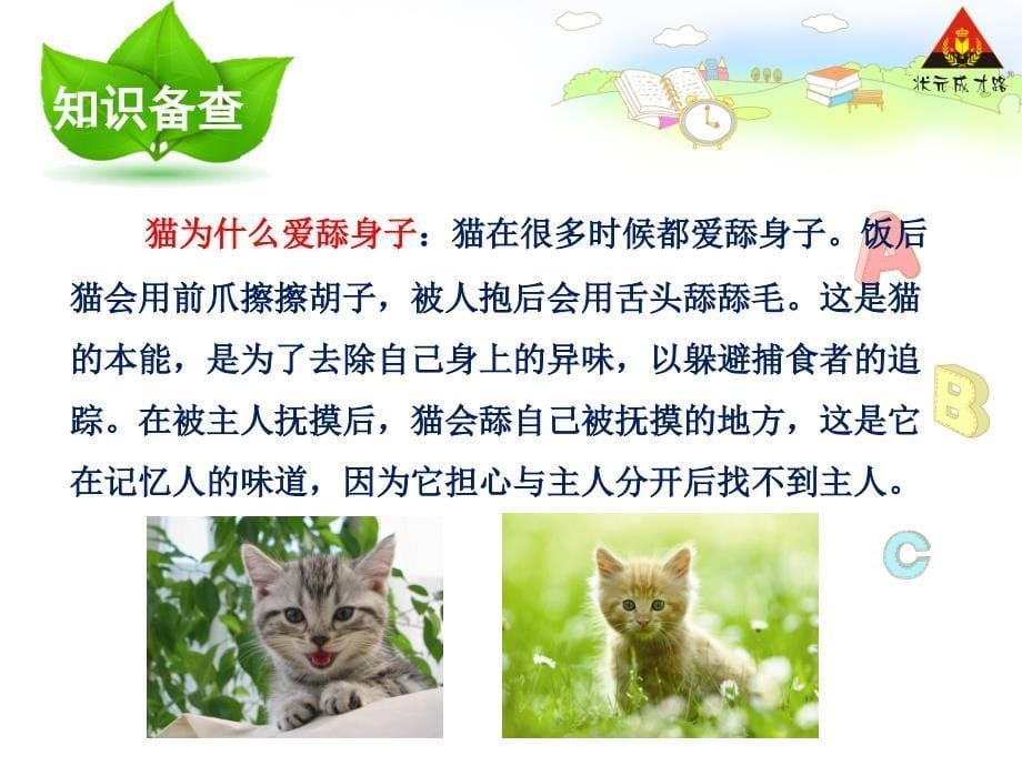 8卡罗尔和她的小猫2_第5页