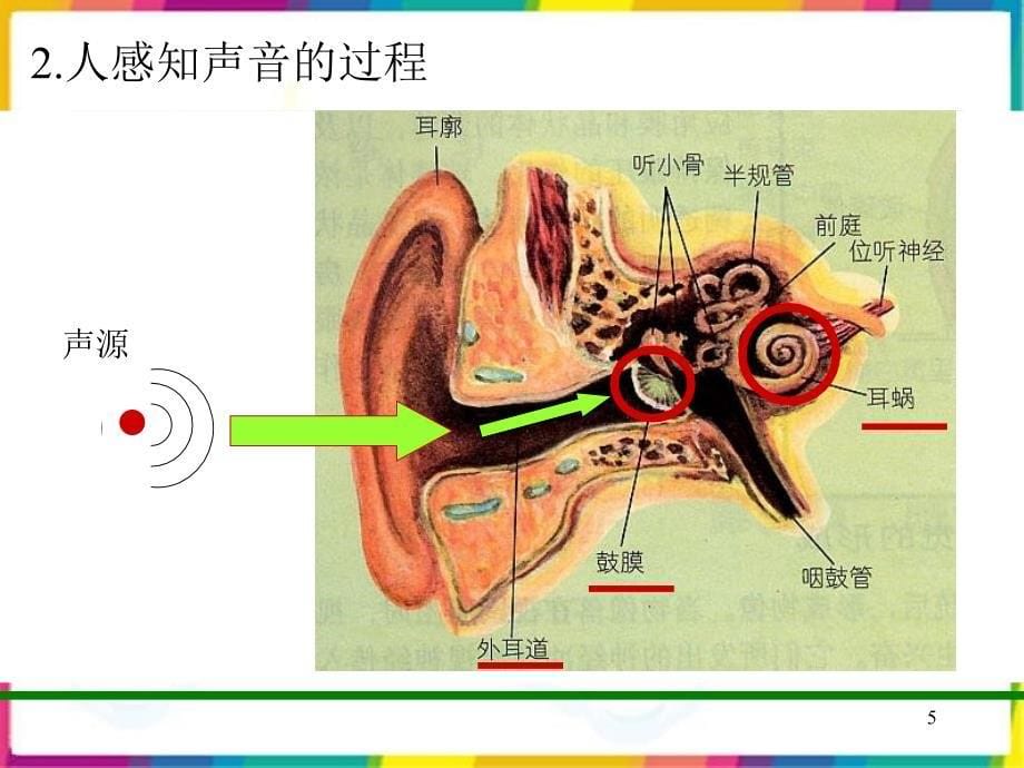 小学四年级上册科学我们是怎样听到声音的ppt课件_第5页