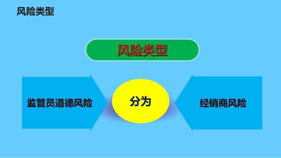 监管员并岗培训教材监管风险防控_第5页