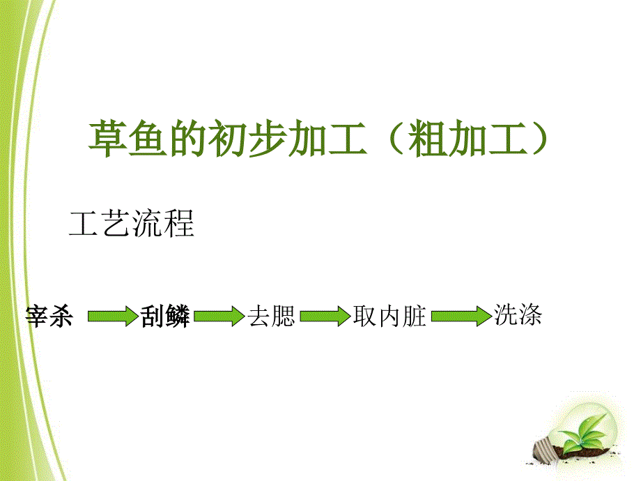 草鱼的初步加工及_第4页