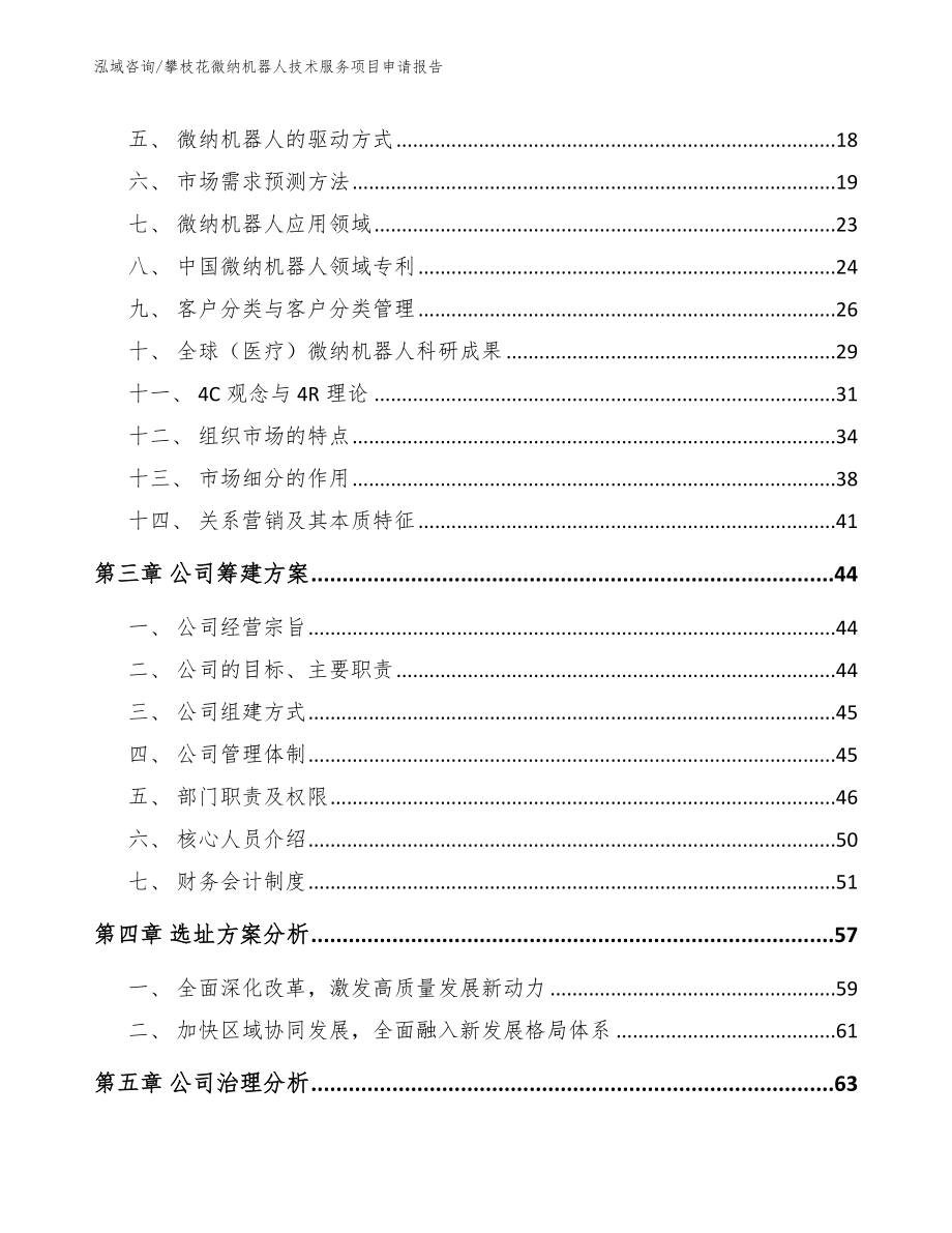 攀枝花微纳机器人技术服务项目申请报告_参考范文_第3页