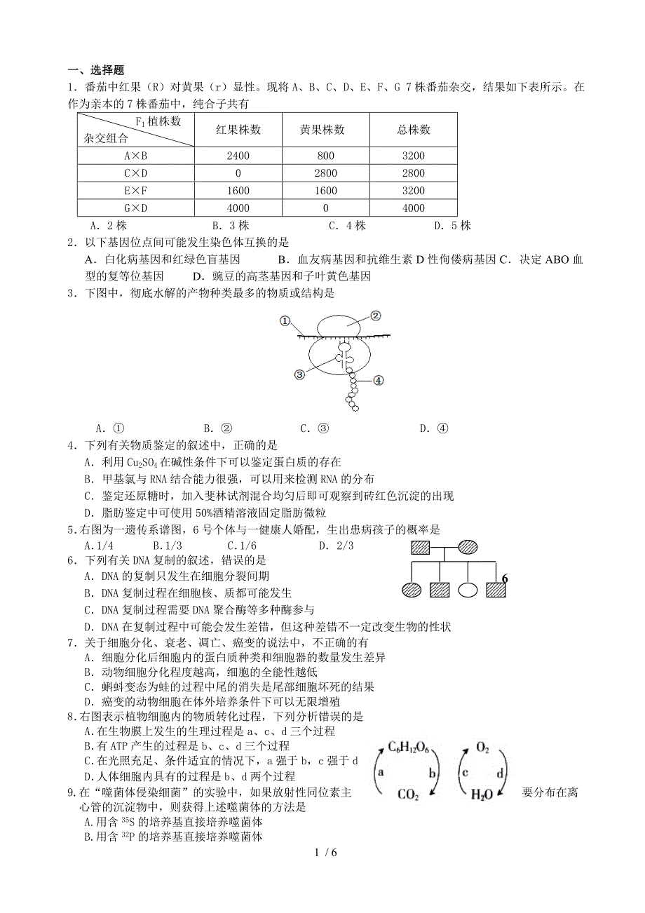 高一生物试卷及答案_第1页