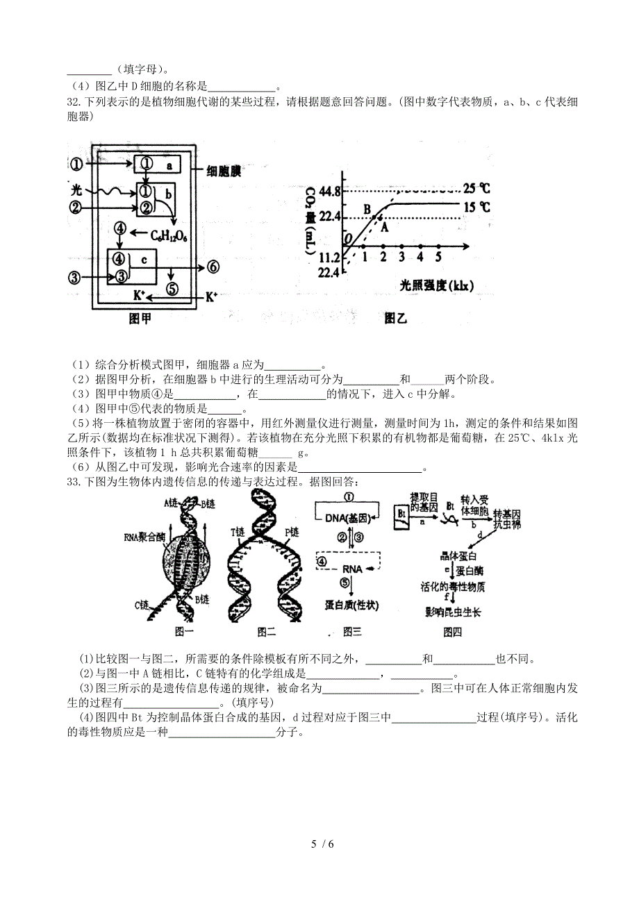 高一生物试卷及答案_第5页