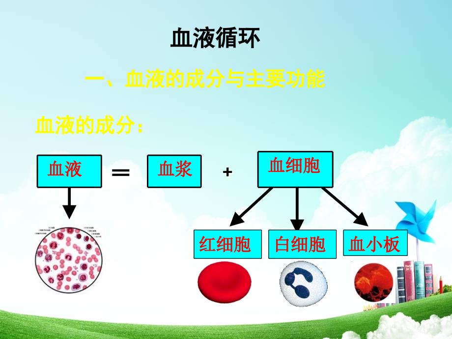 学前儿童循环系统_第3页