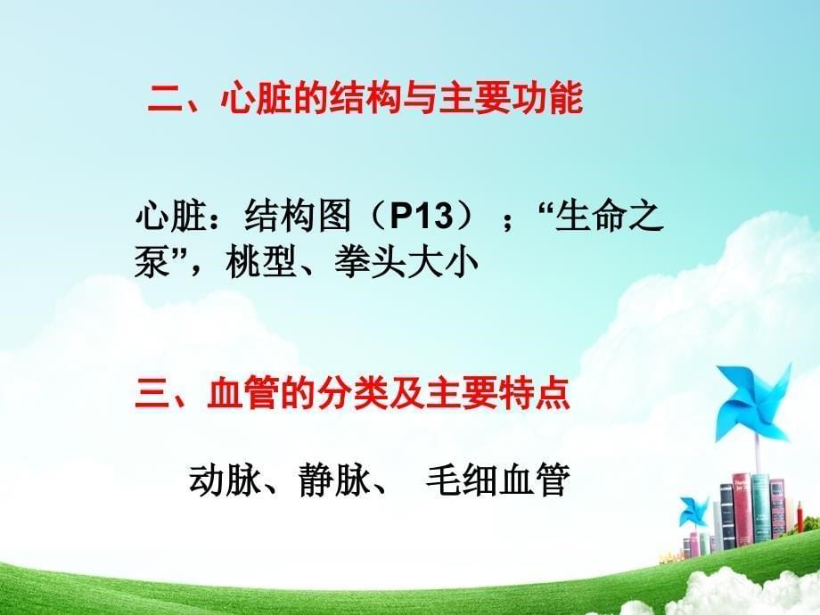 学前儿童循环系统_第5页