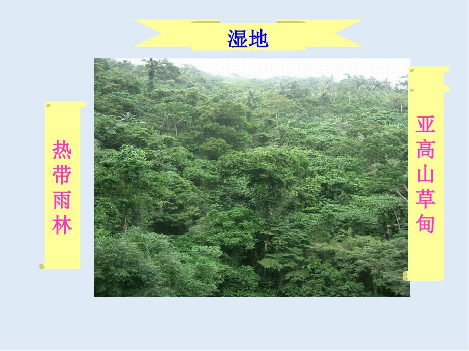 广东省惠州市江南学校人教版高中生物必修一课件：1.1从生物圈到细胞 共59张PPT_第3页