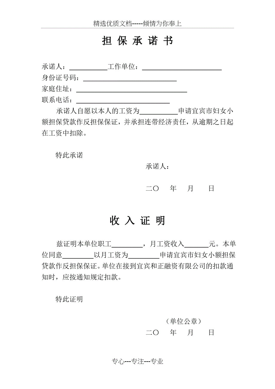 妇女小额担保贷款表册_第3页