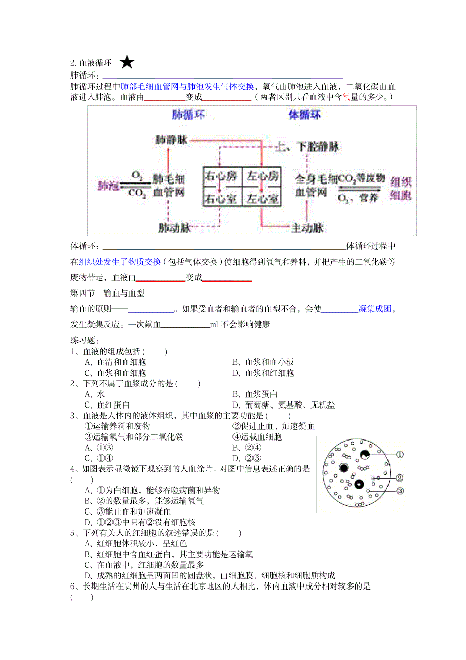 2023年七年级下册第四章_第2页