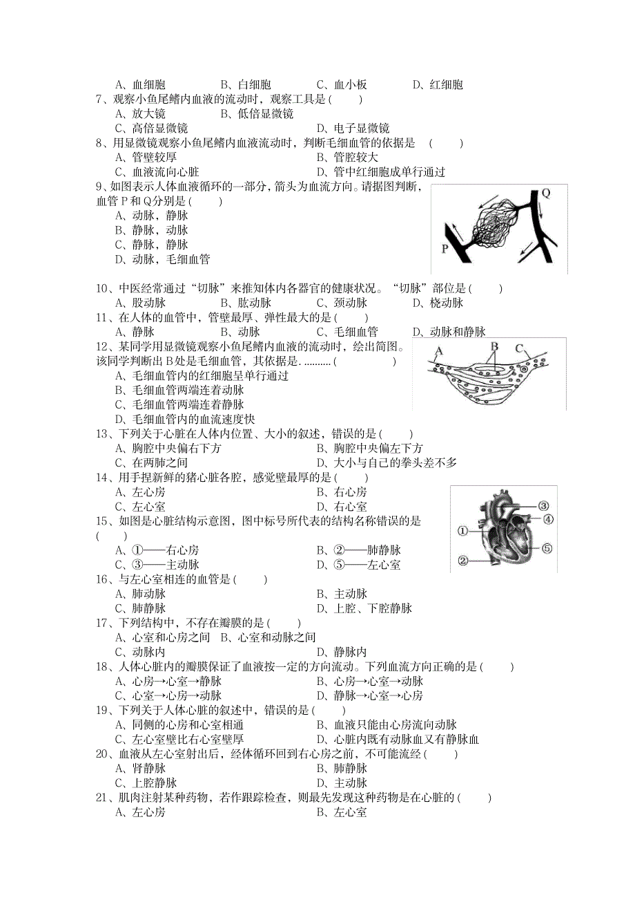 2023年七年级下册第四章_第3页