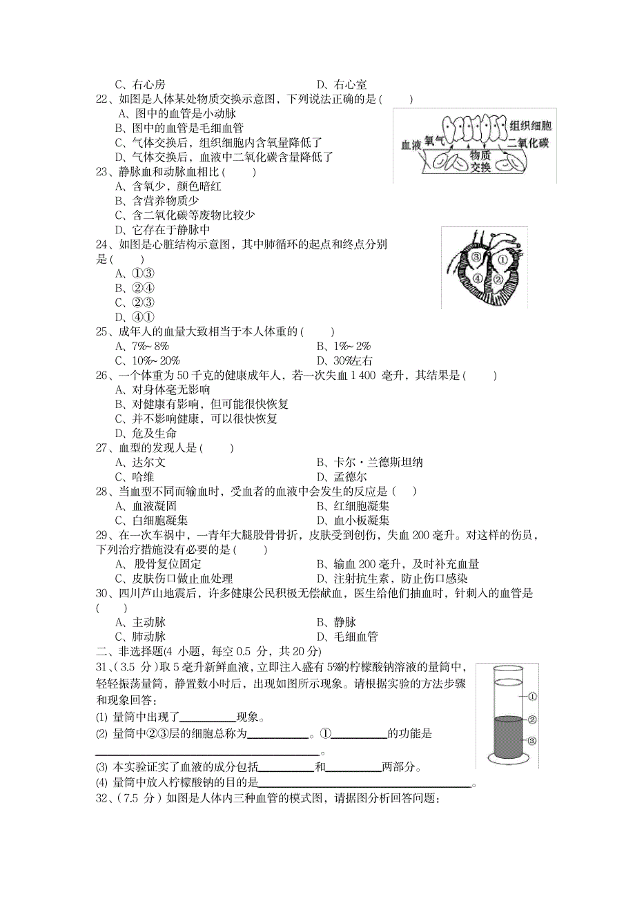 2023年七年级下册第四章_第4页