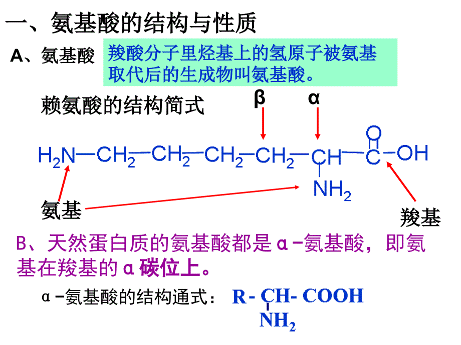 第三节蛋白质核酸ppt课件_第3页