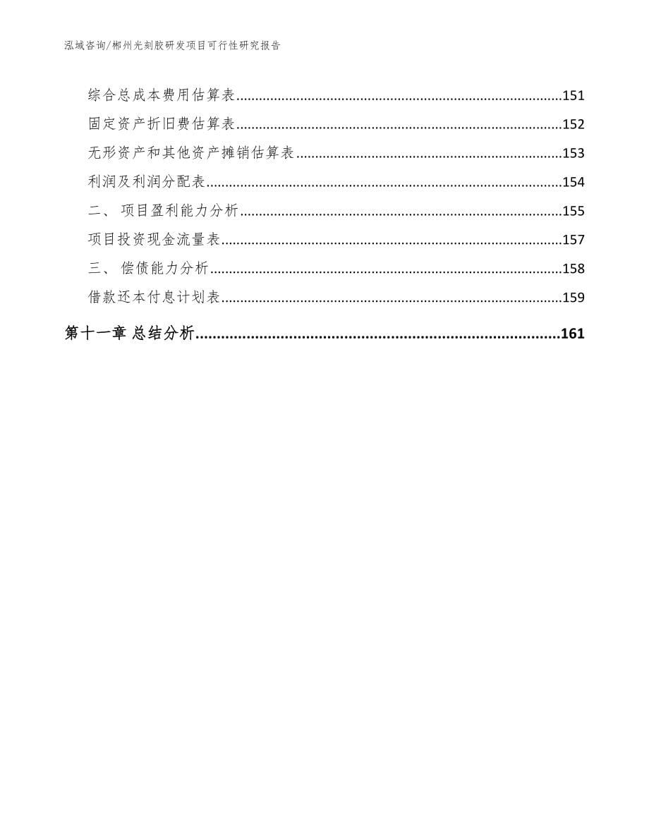 郴州光刻胶研发项目可行性研究报告_第5页