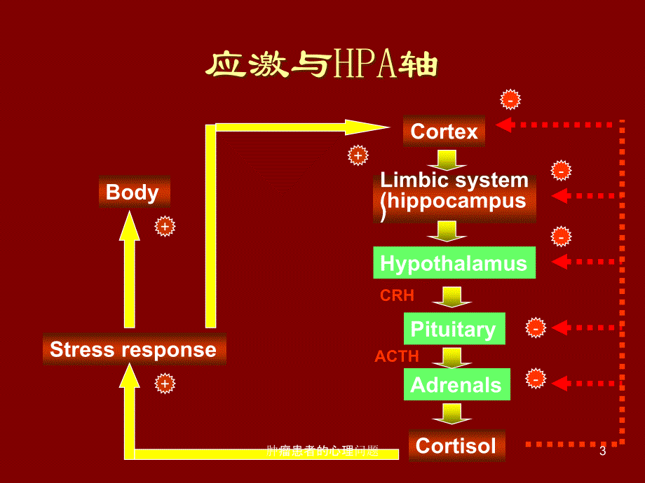 肿瘤患者的心理问题课件_第3页