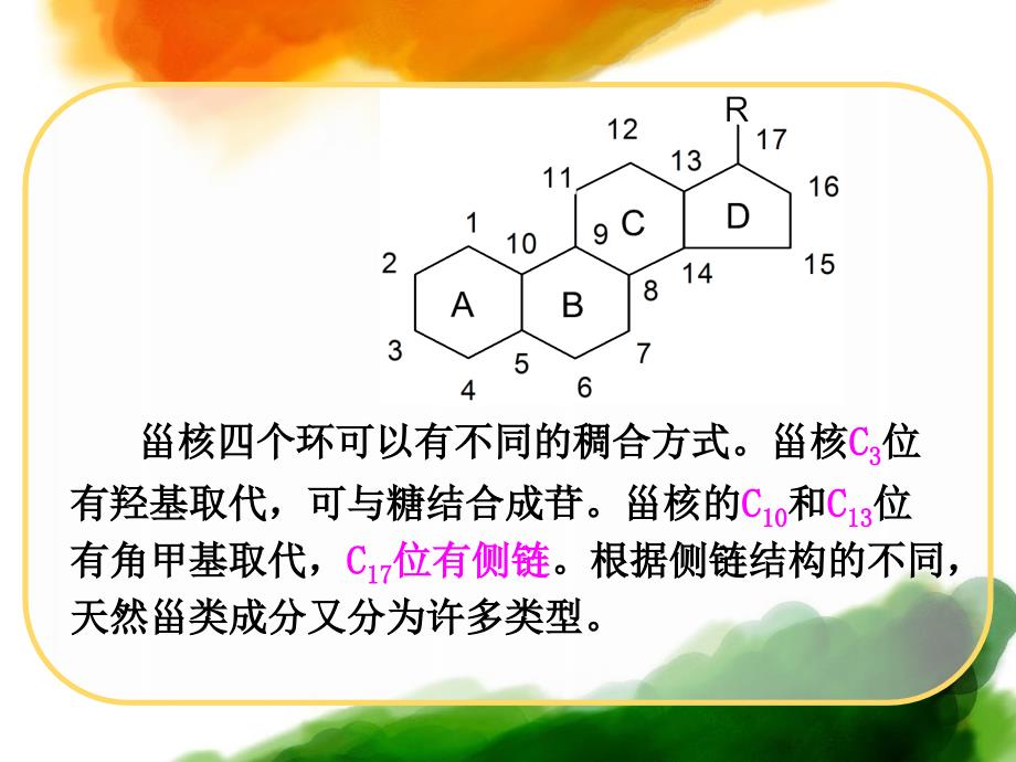 天然药化第八章甾体及其苷类_第3页